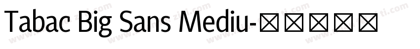 Tabac Big Sans Mediu字体转换